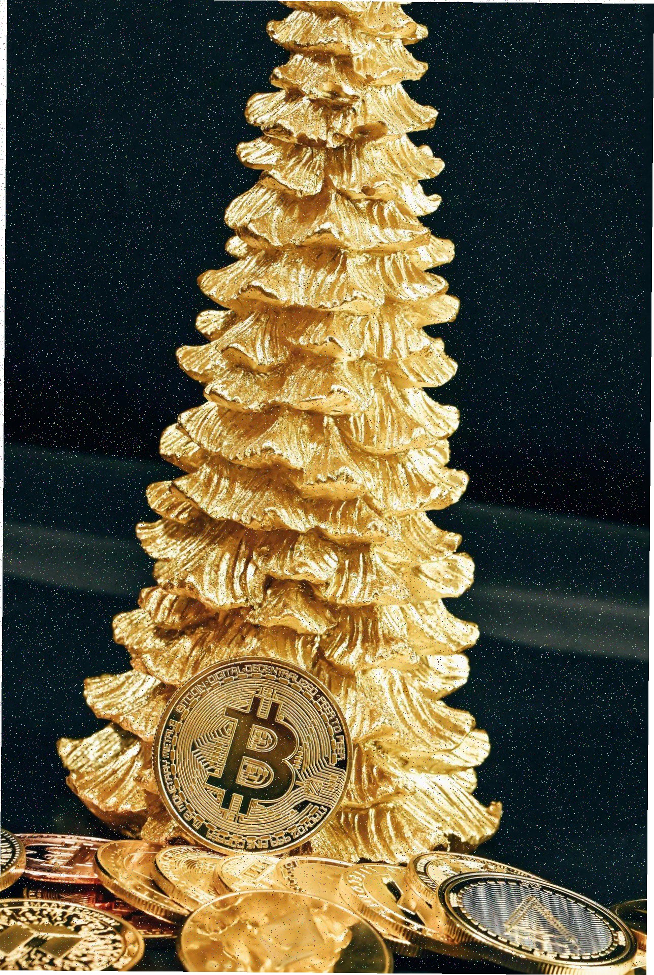 Portfolio Item 3
